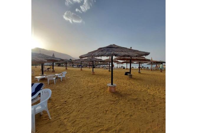 8507116 - Property Image 2