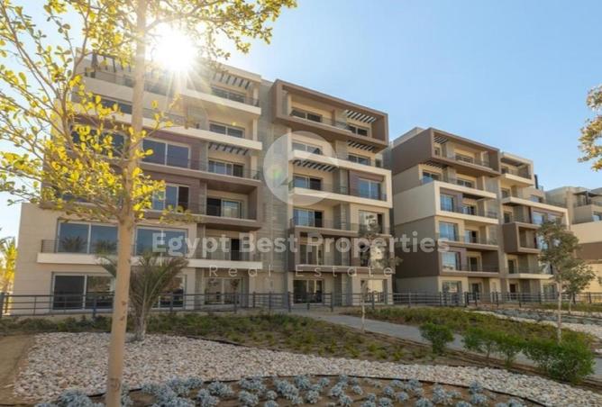 8372433 - Property Image 2