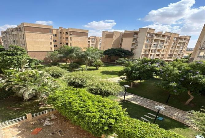 7927908 - صورة العقار 2