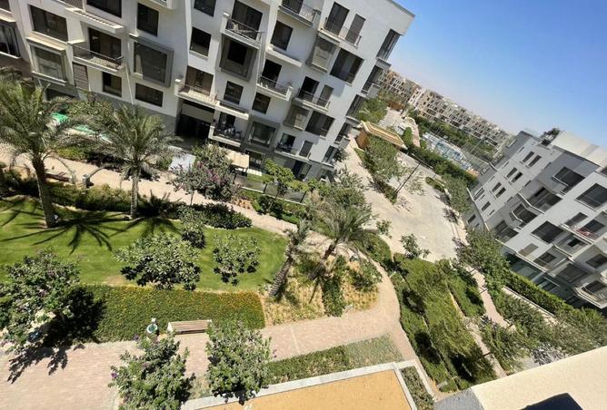 7932846 - Property Image 3
