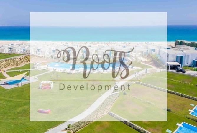7981442 - Property Image 3