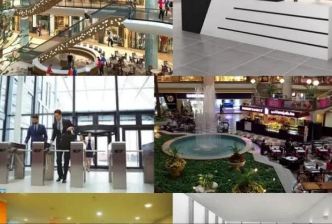 8169023 - صورة العقار 2