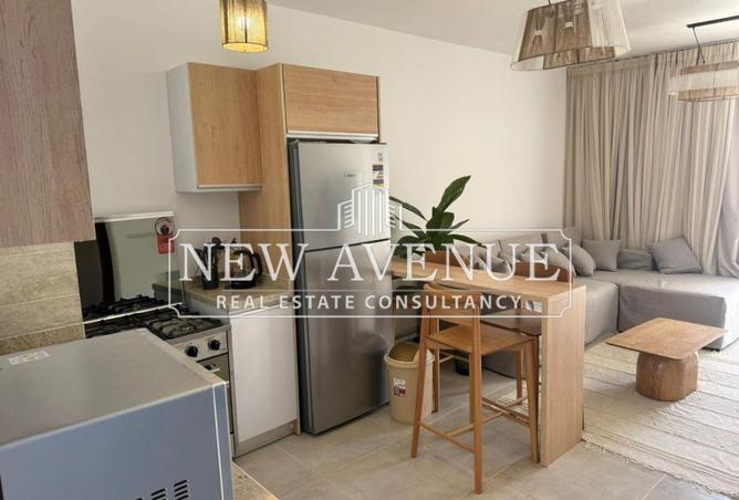 8136667 - Property Image 3