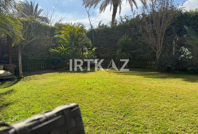 8003854 - صورة العقار 3