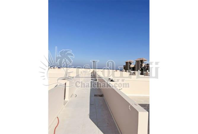 8419040 - Property Image 3