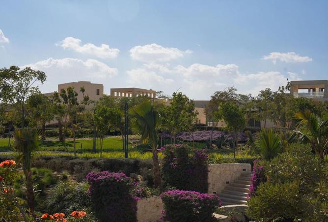 8560329 - صورة العقار 3