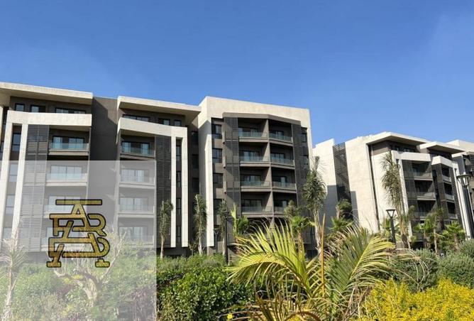 8397420 - Property Image 3