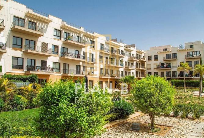 8446576 - Property Image 2