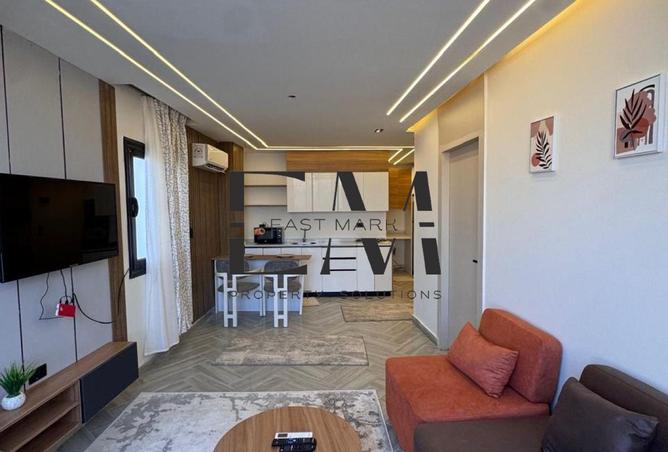 8212629 - Property Image 3