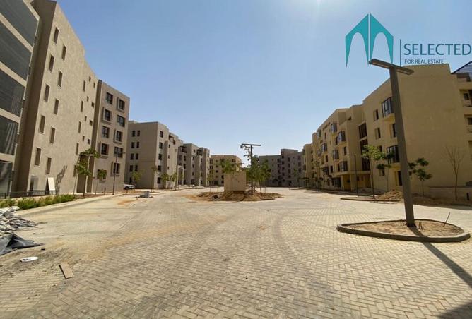 8503735 - Property Image 3