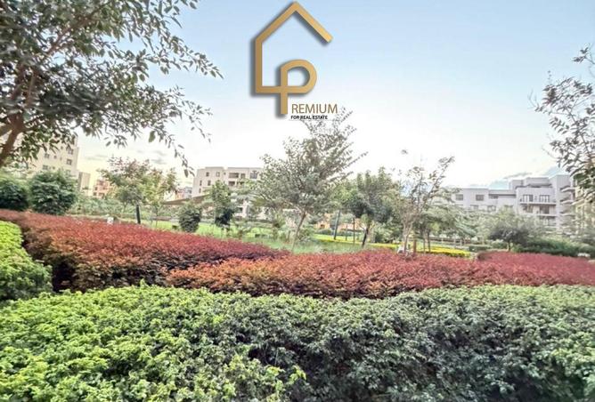 8559302 - صورة العقار 3