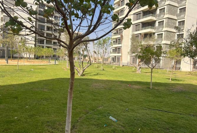 8148165 - الصورة الرئيسية للعقار