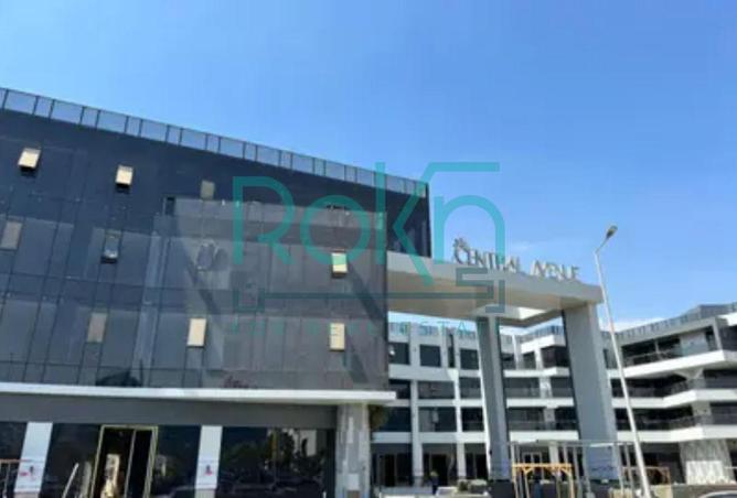 8397771 - Property Image 3