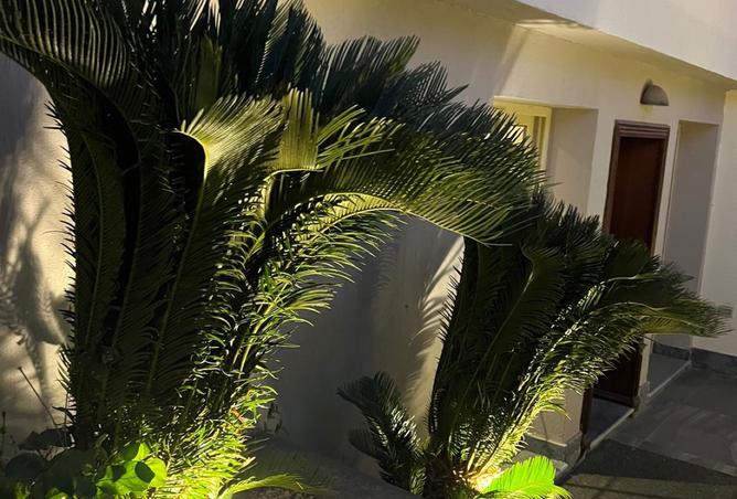 8369149 - Property Image 3