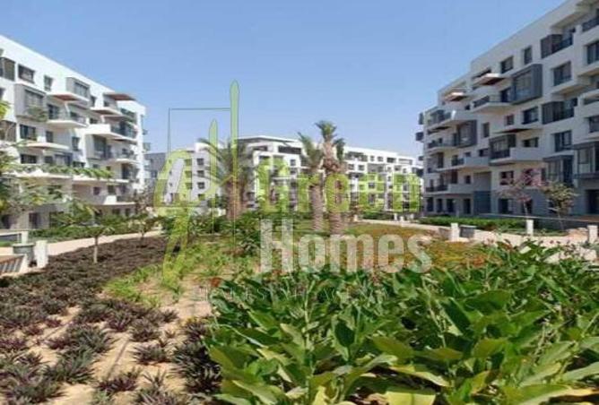 8155568 - Property Image 2