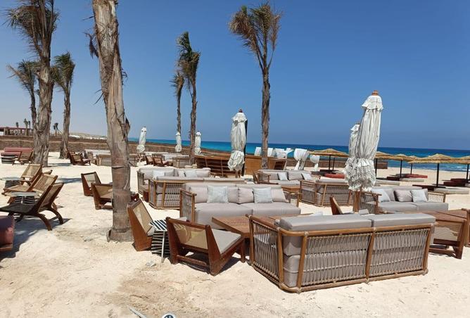 8538805 - Property Image 3