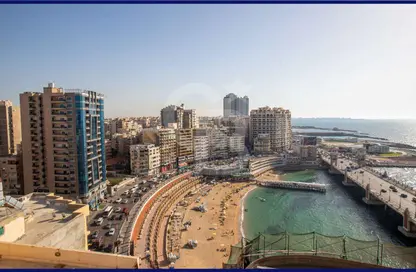 Apartment - 3 Bedrooms - 3 Bathrooms for sale in Shohdy Basha St. - Stanley - Hay Sharq - Alexandria