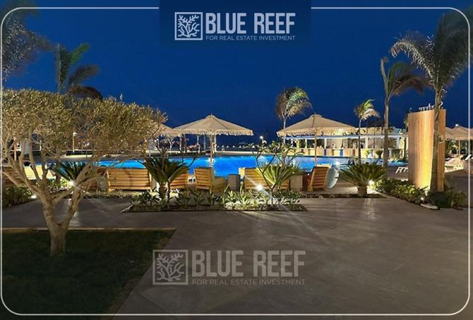 8279418 - Property Image 3