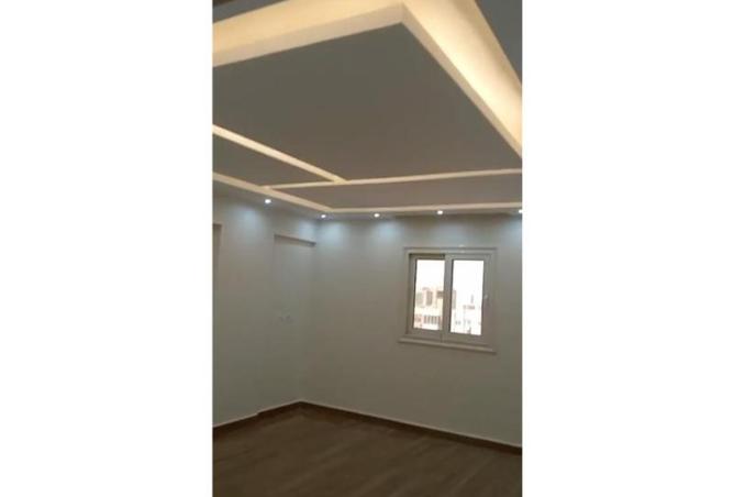 8161336 - Property Image 3