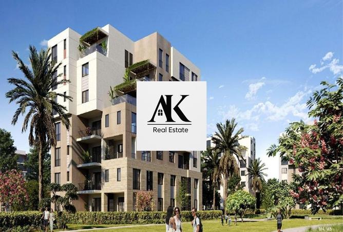 8056370 - Property Image 3