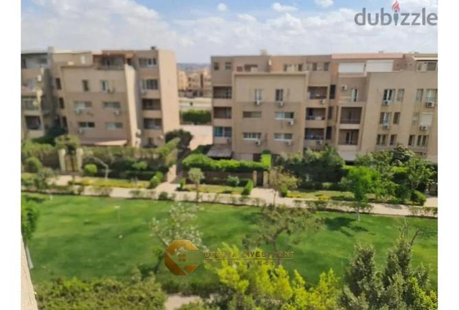 8313310 - Property Image 3