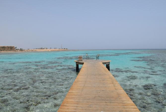 7394065 - صورة العقار 3