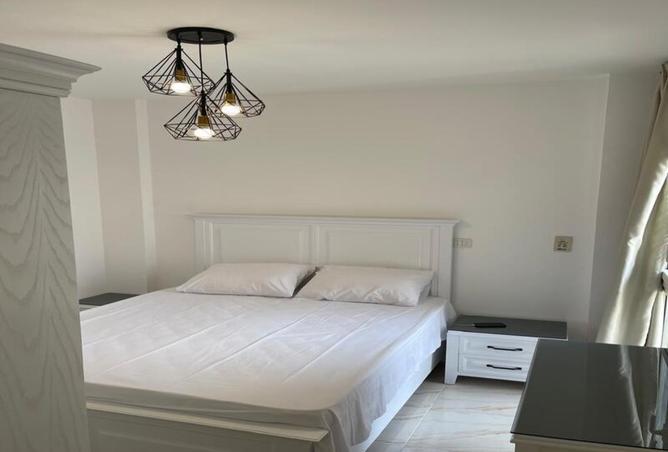 8369195 - Property Image 2