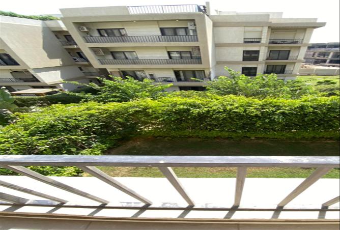 7989583 - Property Image 3
