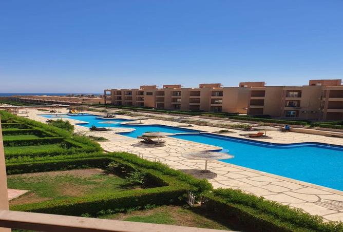 7925043 - صورة العقار 3