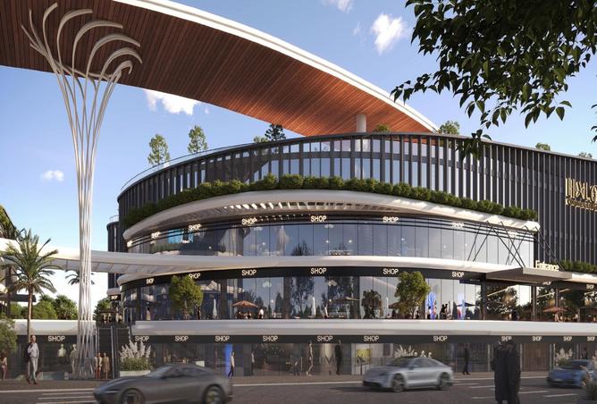 8305322 - Property Image 3