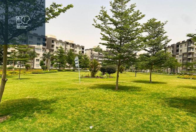 8131996 - Property Image 3