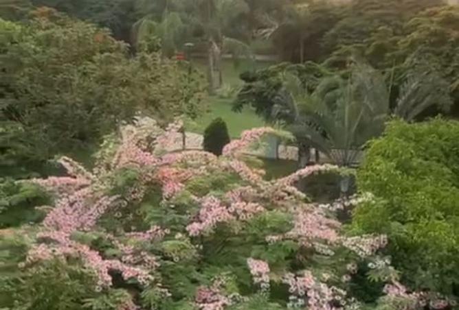 8507940 - Property Image 2