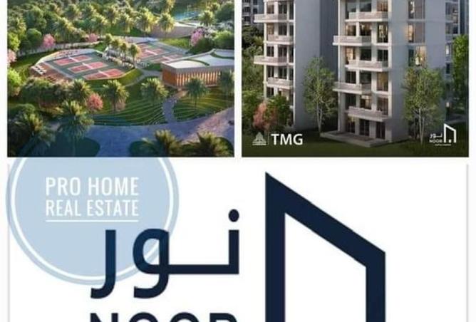 8480977 - Property Image 3