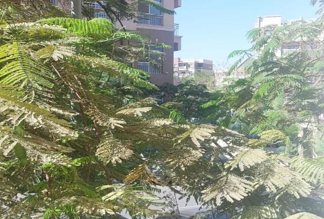 8460376 - الصورة الرئيسية للعقار