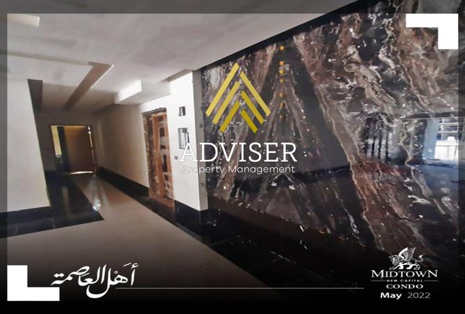 8119037 - Property Image 3