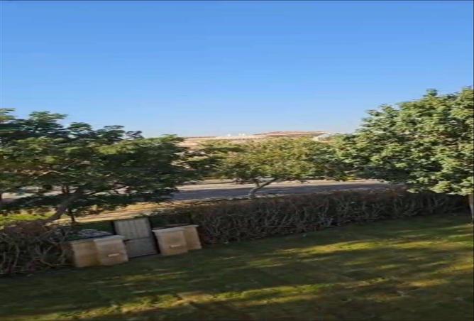 7971629 - صورة العقار 2