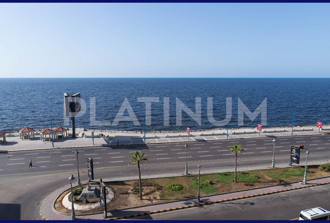7881734 - صورة العقار 2