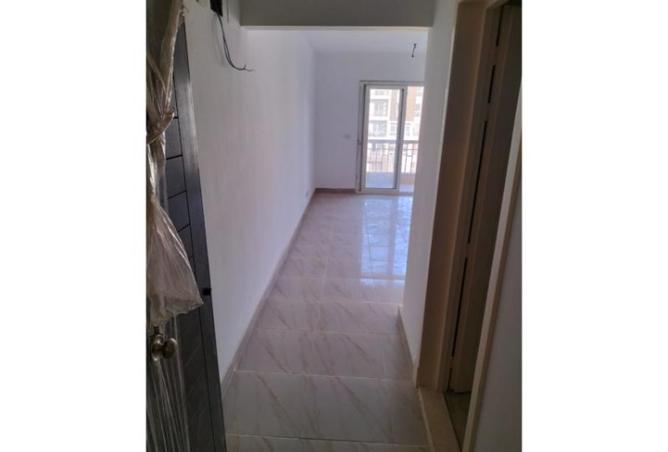 7916716 - Property Image 2