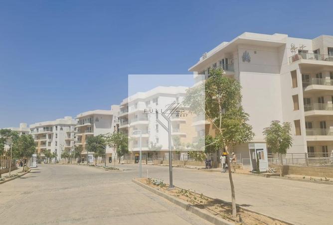 7927777 - صورة العقار 2