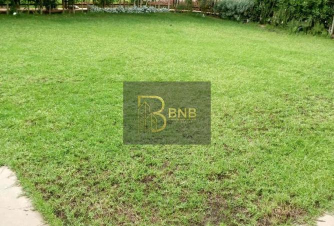 8123427 - Property Image 3