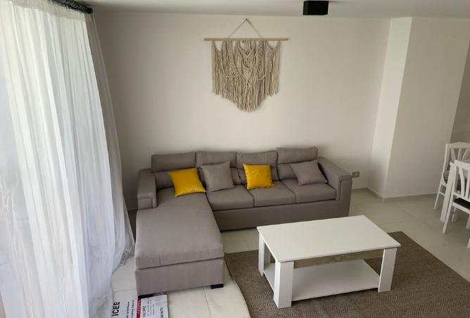 8025429 - Property Image 3
