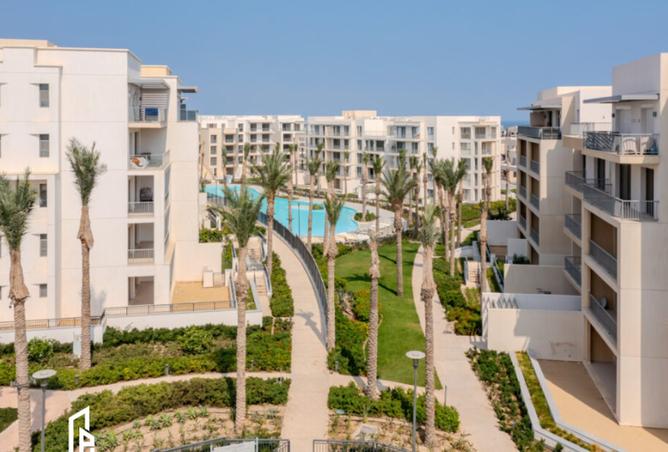 8184655 - Property Image 3