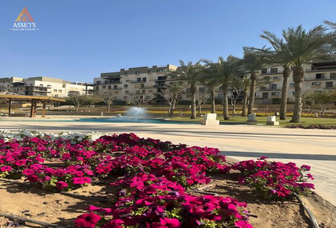 7976481 - Property Main Image