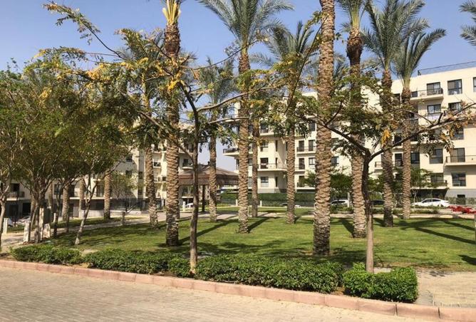 8342607 - Property Image 2