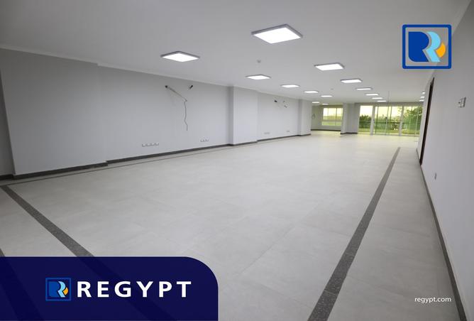 7973033 - Property Image 2