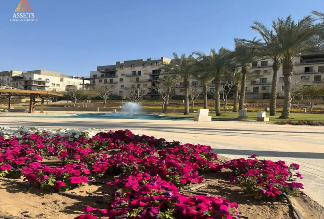 7950576 - الصورة الرئيسية للعقار
