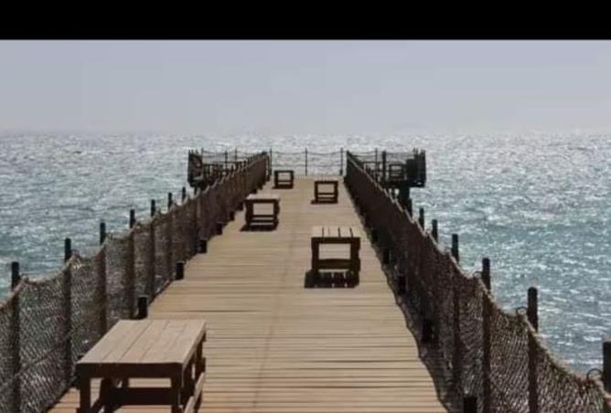 7997254 - صورة العقار 3