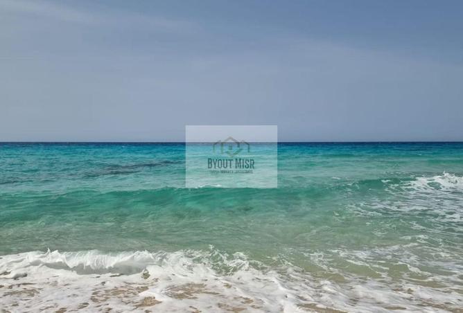 8039597 - صورة العقار 2