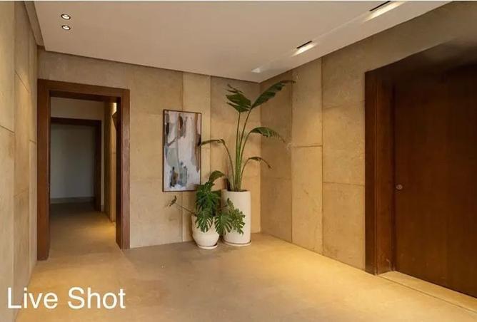 8466542 - Property Image 3