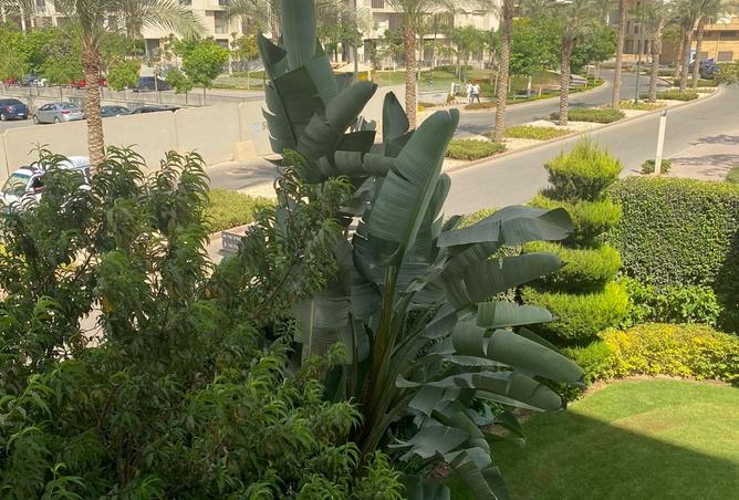 8372099 - Property Image 3